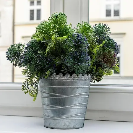 Old Town Garbary By Renters *