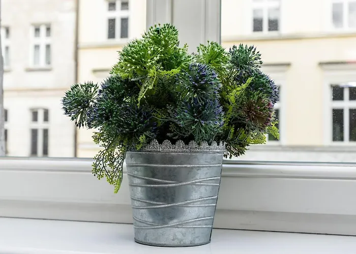 Old Town Garbary By Renters *